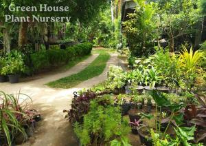 Un jardín fuera de Villa Green House