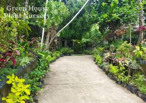 Un jardín fuera de Villa Green House 8 fotos más