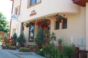 a building with potted plants in front of it at Pensiunea Kenza in Târgu-Mureş