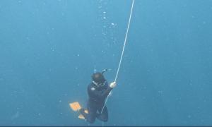 Επισκέπτες που μένουν στο CNC DIVE RESORT at CEBU