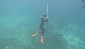 Επισκέπτες που μένουν στο CNC DIVE RESORT at CEBU