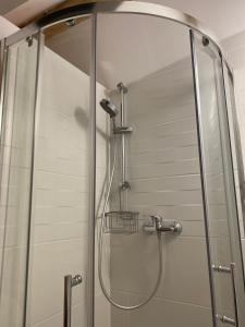 a shower with a glass door in a bathroom at Chambre d'hôtes indépendante Les Agapanthes in Semblançay +14 photos