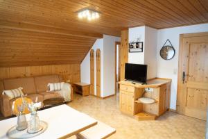 Una sala de estar con un sofá y un televisor. en Gipfelglück Appartements - Ski in & Ski out, en Bad Kleinkirchheim