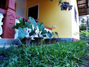 Giardino di Sigiri Sithru Home Stay