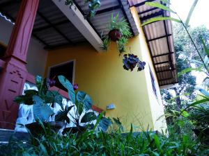 Zahrada ubytování Sigiri Sithru Home Stay