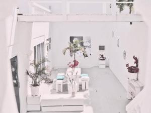 a white room with potted plants and white furniture at Appartement Chandon 4 pers in Willemstad
