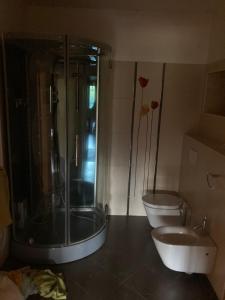 a bathroom with a shower and a toilet and a sink at Statek Kachliřka in Košetice
