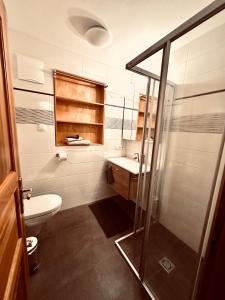 a bathroom with a shower and a toilet and a sink at LITTLE HIDEAWAY zillertal in Hart im Zillertal +60 photos