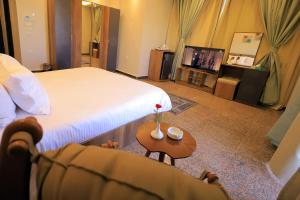 TV a/nebo společenská místnost v ubytování Blue Lotus Nile Suites Hotel Aswan