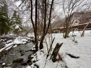 Apartment Amelia Tale, View of Chopok from large terrace, In the nature during the winter