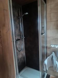 prysznic ze szklanymi drzwiami w łazience w obiekcie Appartment Danterhof w Mayrhofen +19 zdjęć