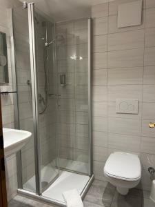 a bathroom with a shower with a toilet and a sink at Hotel Gasthof Zum Ochsen in Furtwangen +103 photos