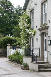 un arbre à fleurs blanc devant une maison dans l'établissement Plough Inn, à Lupton