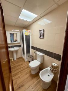 a bathroom with a toilet and a sink at Vivienda rural el gobernador in Villanueva de los Infantes