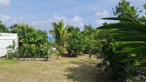Un jardín con árboles y plantas en un campo. en Le Domharry, en Anse-Bertrand