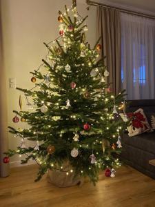 a christmas tree with lights in a living room at Dworek pod Krzyżtoporem Ujazd Agroturystyka- pokoje do wynajęcia in Iwaniska