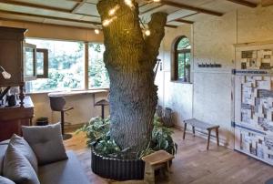 a tree in the middle of a room with a couch at Baumhaus Beletage in Bockhop