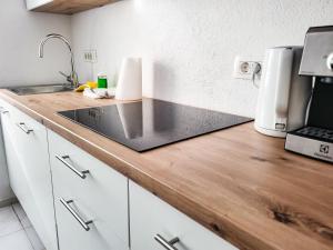 a kitchen with a sink and a laptop on a counter at Stara Pošta Apartment 7 in Grosuplje