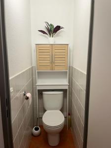 a bathroom with a toilet with a shelf above it at Appartement Les chalets de Puy-St-Vincent 1700 in Puy-Saint-Vincent +5 photos