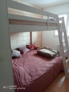 a bedroom with a bunk bed with a ladder at Appartement Les chalets de Puy-St-Vincent 1700 in Puy-Saint-Vincent