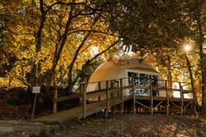 a dome tent under a tree in a forest at Manteiros Glamping in Canas de Senhorim