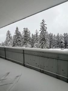 Moderne Ferienwohnung Lenzerheide mit Aussicht v zimě