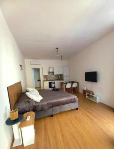 a bedroom with a large bed and a television at Casa delle begonie in Rome