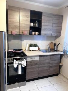 a kitchen with a stove and a sink at Apartament Sieroszewskiego in Puławy +3 photos
