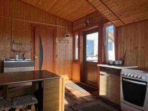 una cocina con estufa y fregadero en Котедж Краєвид, en Yablunytsya