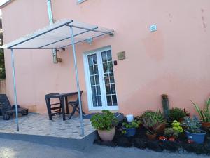 a patio with a tent and a table and some plants at Casa da Tulipa in Cabo Branco