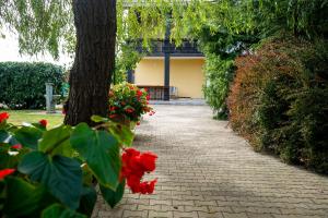 Zahrada ubytování Apartma Maka