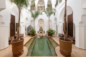 马拉喀什摩达摩洛哥传统庭院住宅的一座棕榈树建筑中的室内游泳池