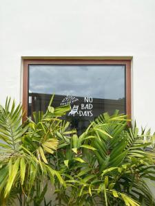 Zahrada ubytování Kalachuchi Inn 薄荷雞蛋花旅宿 + 37 fotografií