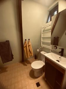a bathroom with a white toilet and a sink at Wonderwood Borjomi Cottage in Borjomi