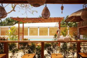 Bazén v ubytování Kalachuchi Inn 薄荷雞蛋花旅宿 nebo v jeho okolí