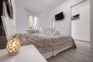 TV a/nebo společenská místnost v ubytování Le Coccinelle Home a Lierna