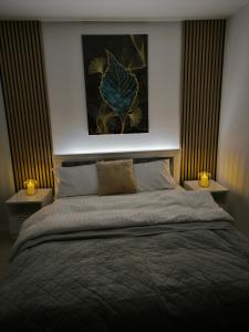 a bedroom with a large bed with two night stands at Heaven Paradise in Baia Mare