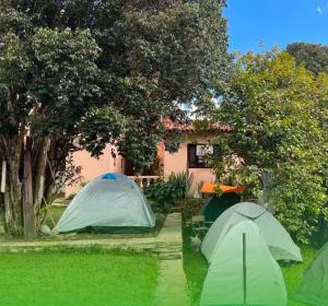 Zahrada ubytování Camping Primitivus- Centro de São Thomé