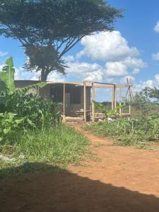 an old bus in a field with a tree at Sammyvero farm in Chala