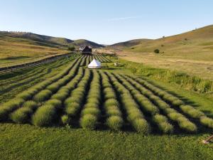 Naturlandskabet i nærheden af feriehuset