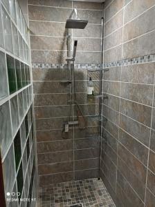 a shower in a bathroom with a tiled wall at Superbe F3 tout confort avec terrasse et jardin in Rivière-Salée +29 photos