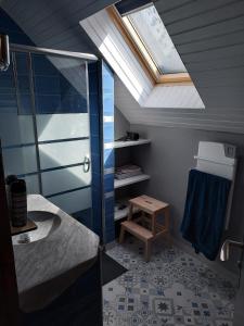 a bathroom with a skylight and a shower at Maison de village au pied des Pyrénées in Marignac