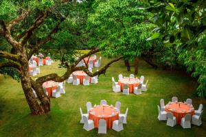 Zahrada ubytování Le Meridien Mahabaleshwar Resort & Spa