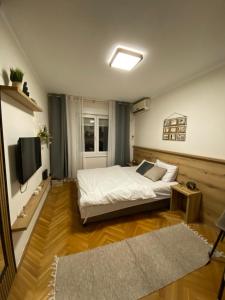 a bedroom with a bed and a television in it at Lina Apartment in Podgorica