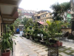 Un jardín fuera de Hotel Mandala