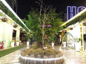 Garden sa labas ng Thành Đạt Hotel Bạc Liêu
