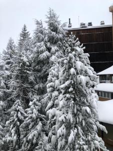 Apartamento en Baqueira a 100 metros de la telecabina during the winter