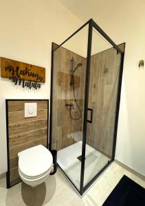 a bathroom with a shower and a toilet at Studio Savane - 5 min du Zoo - CLIM in Seigy