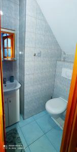 un baño con inodoro y lavabo en U Maryni, en Szczawnik 21 fotos más