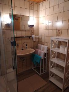 a small bathroom with a sink and a shower at Haus Waldblick in Hohegeiß +20 photos